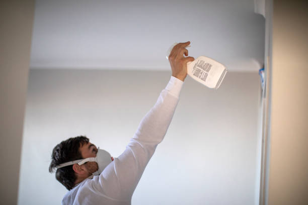 Best Commercial Mold Removal  in Key West, FL